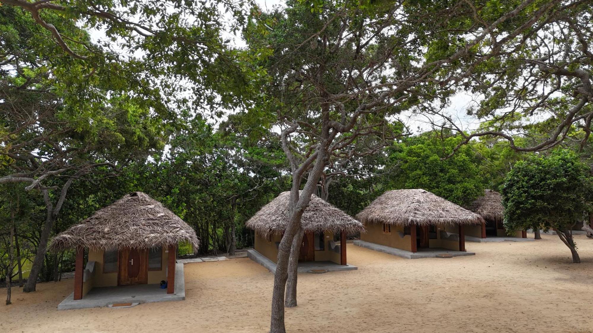 Peanut Farm Surf And Wild Resort - Arugambay Arugam Bay Buitenkant foto
