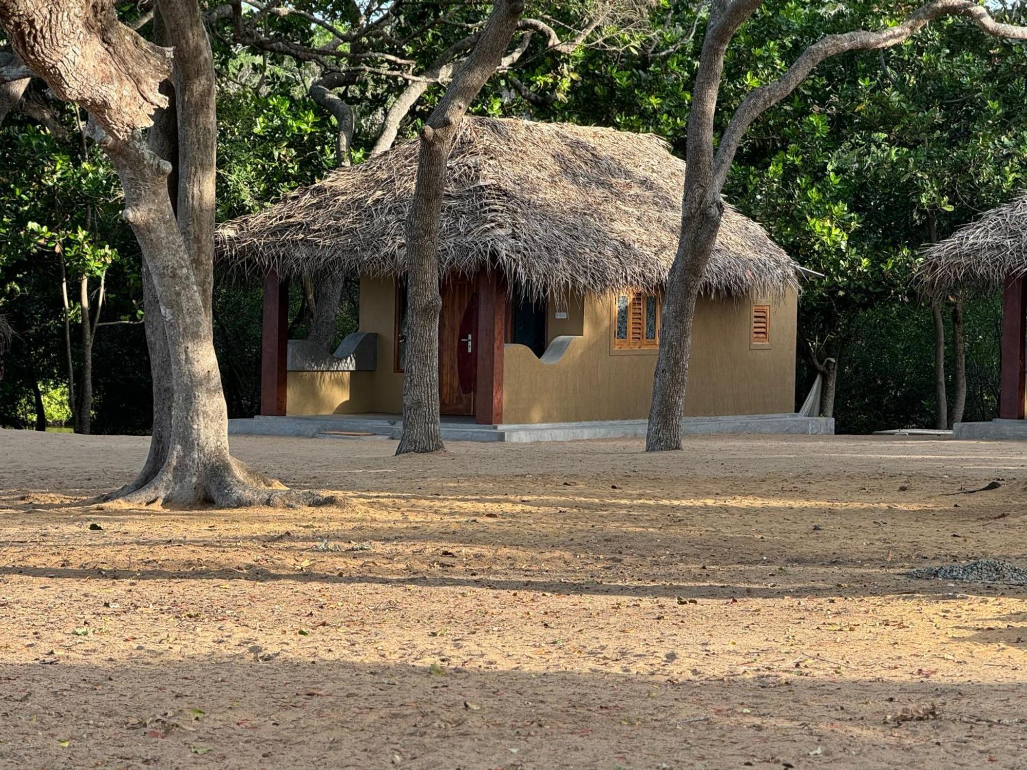 Peanut Farm Surf And Wild Resort - Arugambay Arugam Bay Buitenkant foto