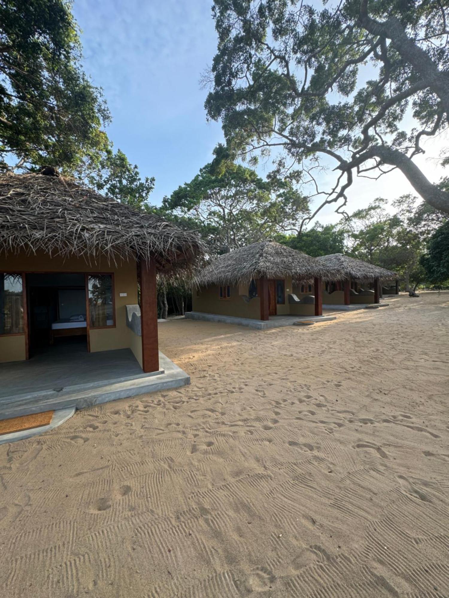 Peanut Farm Surf And Wild Resort - Arugambay Arugam Bay Buitenkant foto