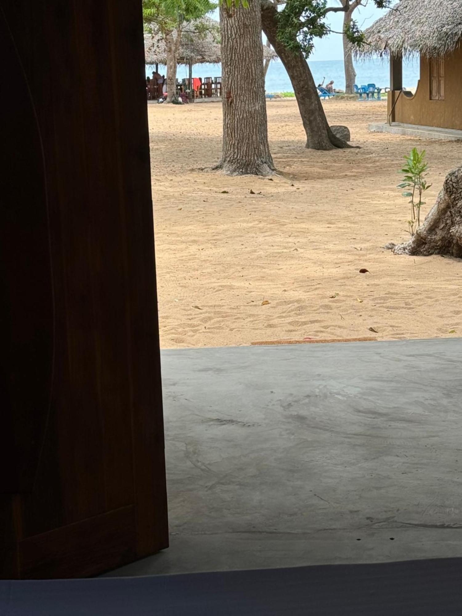 Peanut Farm Surf And Wild Resort - Arugambay Arugam Bay Buitenkant foto