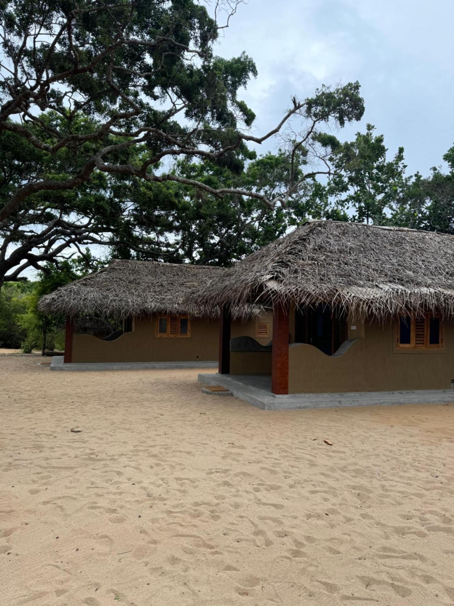 Peanut Farm Surf And Wild Resort - Arugambay Arugam Bay Buitenkant foto